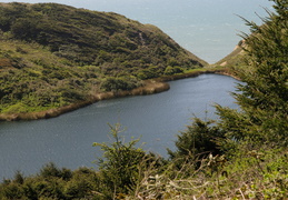 overlooking the ocean