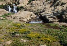 lower falls heading towards the ocean