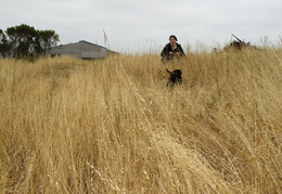 lost in the tall grass