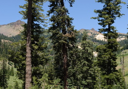 Lassen Volcanic park