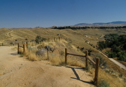 Camelback park overlooking downtown Boise