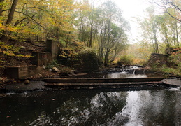 dam at Maple Lake