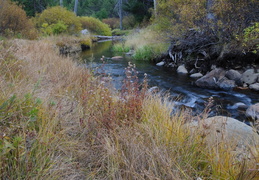 fall colors near Truckee