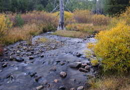 fall colors near Truckee