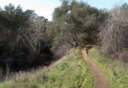 hiking along the America River