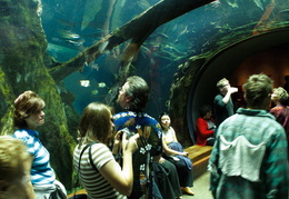 underwater at the academy of sciences