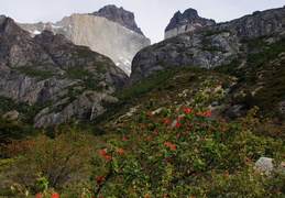 waterfall & Los Cuernos