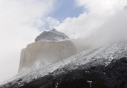 condor flying above the Cuernos mountains