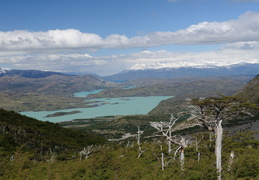 2009d31c1188.jpg