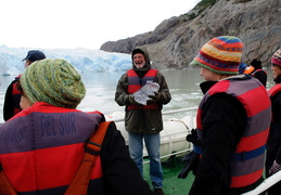 Glacial ice from the Grey glacier