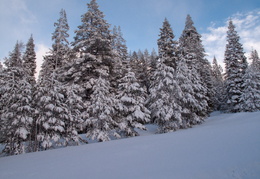 blue skies in Tahoe