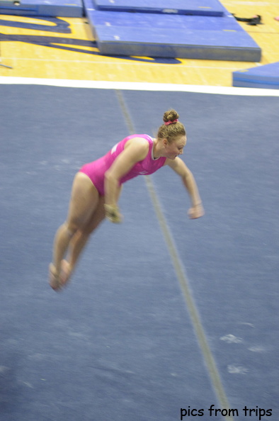 leap2010d06c160.jpg