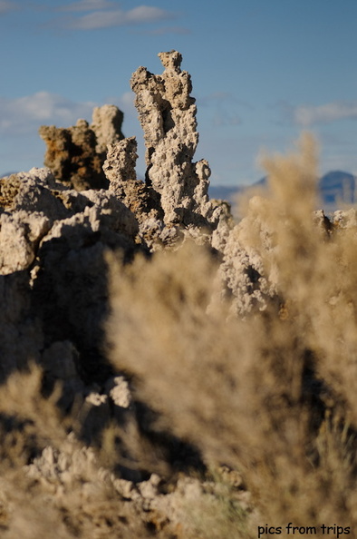 Tufa2010d12c146.jpg