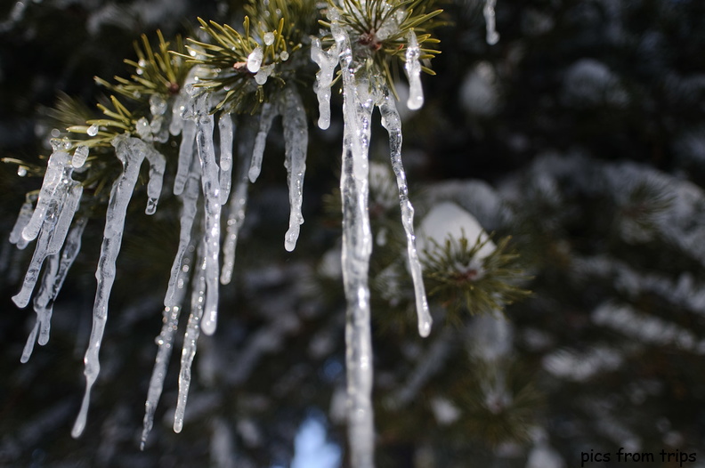 icicles2010d09c012.jpg