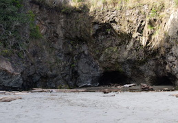 cove2011d26c113-Edit