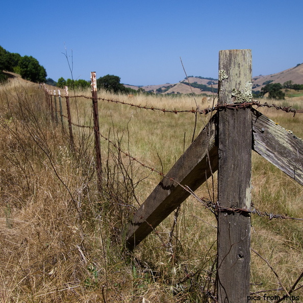 fences2011d18c033.jpg