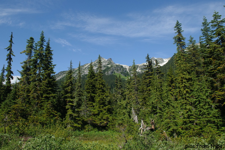 mountains2011d24c196.jpg