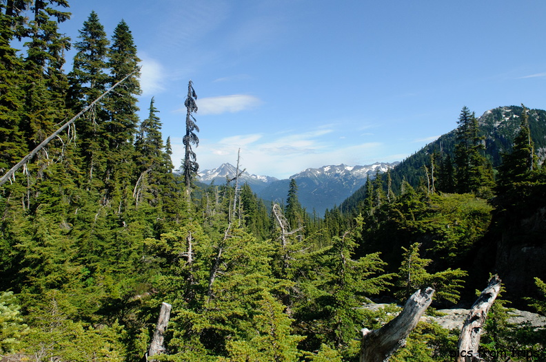 mountains2011d24c273.jpg