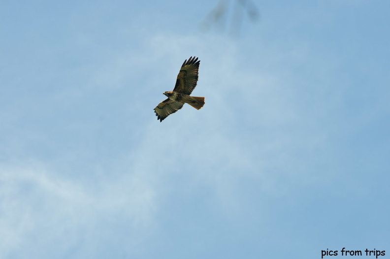 hunting2011d03c117.jpg