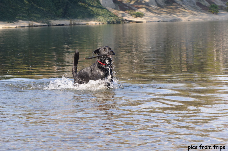 retrieving2011d03c128.jpg