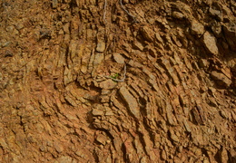 2013d01c794