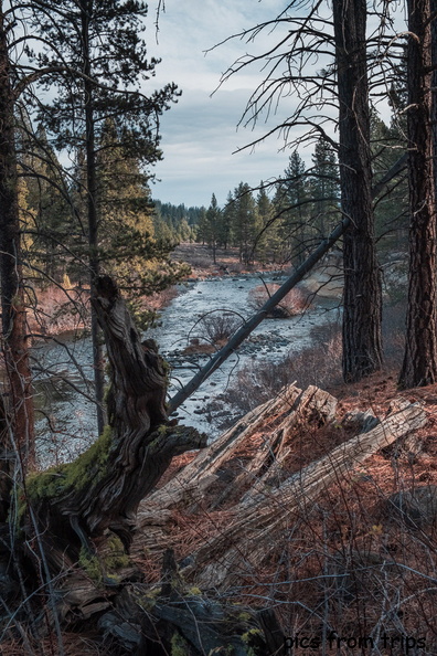 2018d20c072-Edit.jpg
