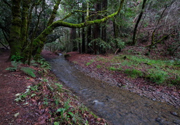 2019d04r121