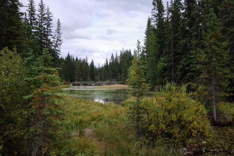 2019d36r055.jpg