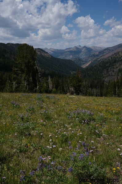 2020d08r086.jpg