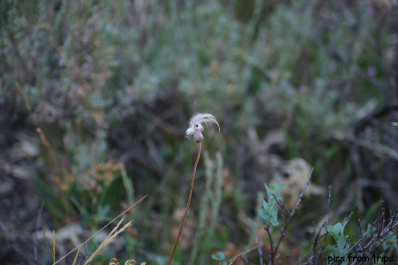 2020d09r020.jpg