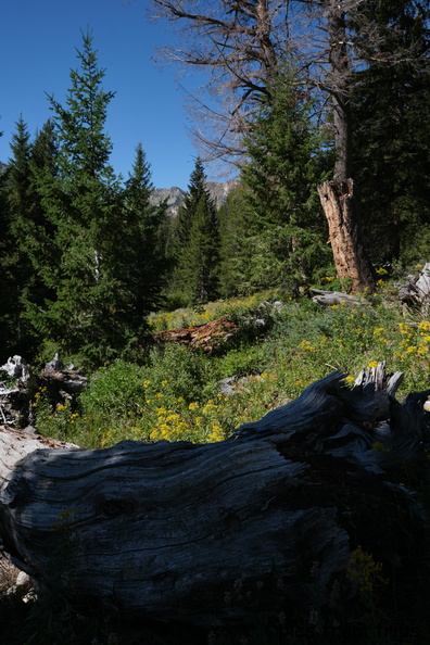 2020d09r064.jpg