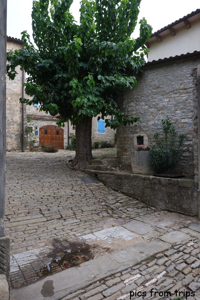 2022d08r143.jpg
