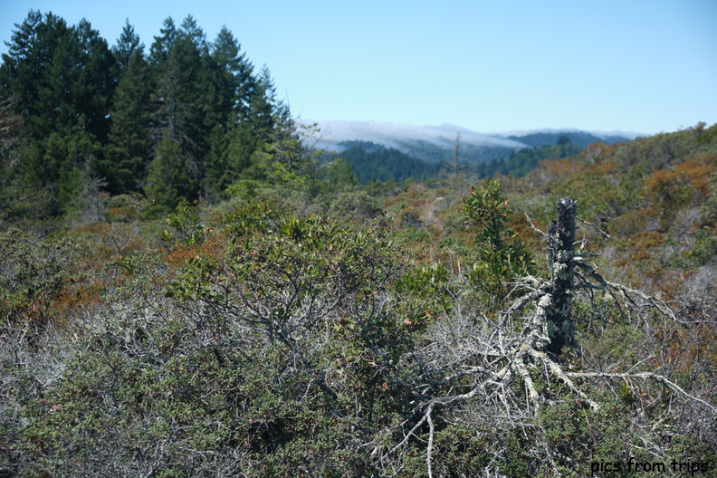 2023d08r032.jpg