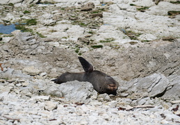 Kaikoura