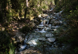 Routeburn track