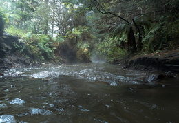 Huka & Taupo