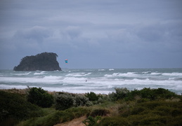 Tauranga