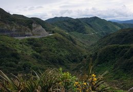 North Island countryside