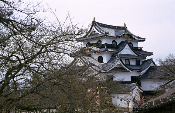Hikone-jo castle