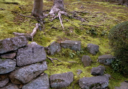stones and moss