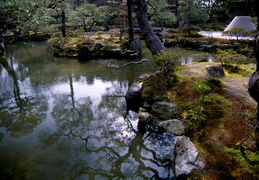 pond & raked stones