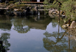 pond & temple