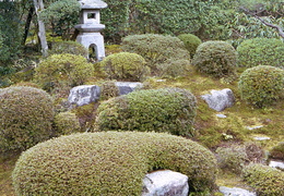 Sanzen-in temple gardens