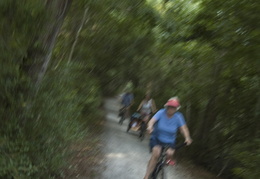 riding the bike paths of Sea Pines