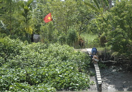 Vietnamese flag over the Meekong banks