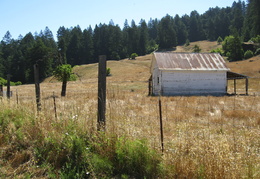 Sonoma farm