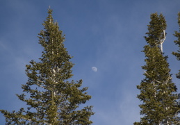 moon over Idaho