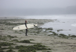 surfer on Dillon Beach