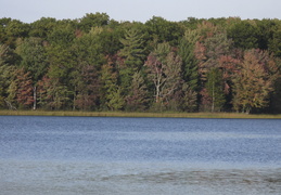 Lake in early fall