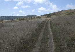 Trail to coastline